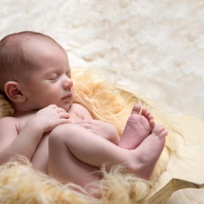 44136715 298525830874242 8262058420710932480 N 1